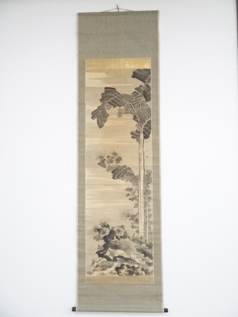 中国画　清朝期　芭蕉菊図　肉筆絹本掛軸（長谷川嵐渓・富取芳斎・巻梧石箱書）（共箱）