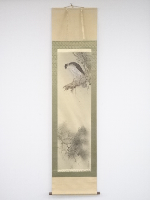 JAPANESE HANGING SCROLL / HAND PAINTED / PINE & HAWK / TAISHO-SHOWA ERA